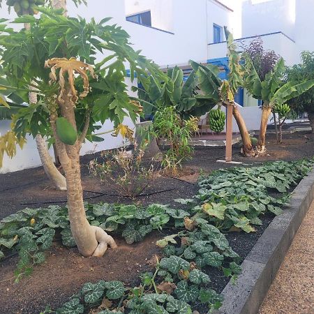 קלטה דה פוסטה Nenita Apartment מראה חיצוני תמונה