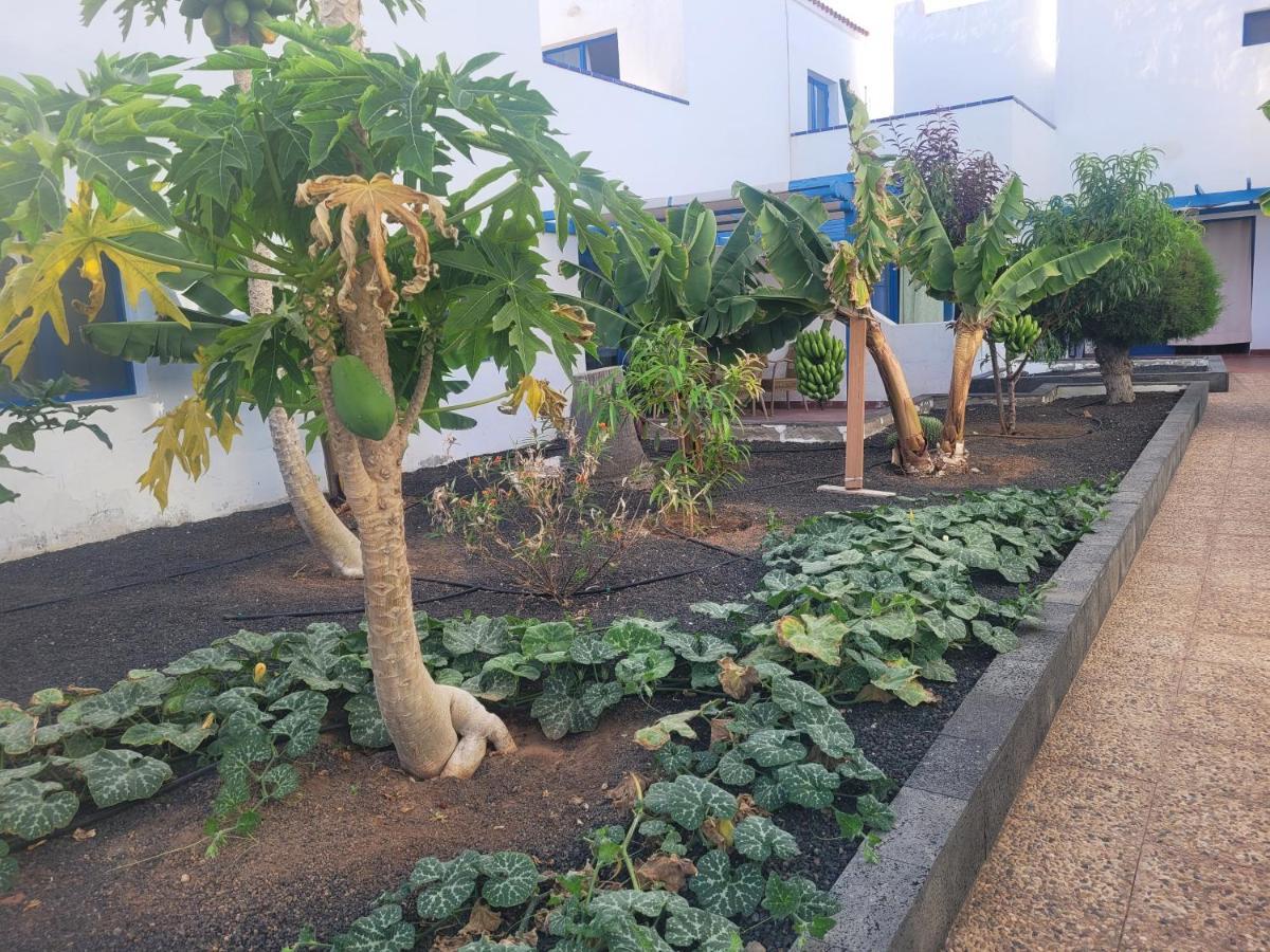 קלטה דה פוסטה Nenita Apartment מראה חיצוני תמונה